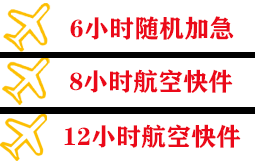 六盘水月照航空空运快递公司,专业空运当天件